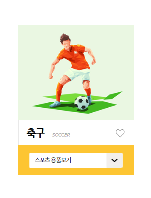 축구용품